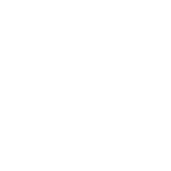 Sexual Health Alliance Logo (1)
