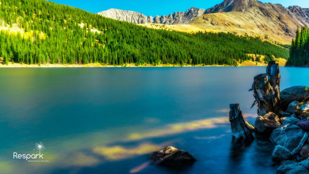 Minds, Hearts, and Intimacy: Sex Therapists in Denver