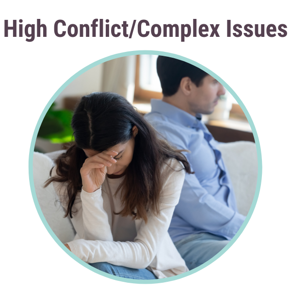 High Conflict Couples and Complex Issues