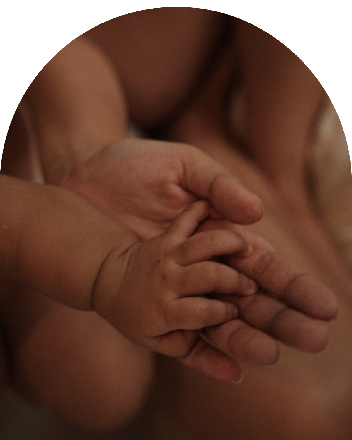 Experts Profile Photos (32)